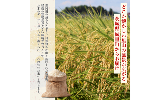 【12カ月定期便】にじのきらめき 5kg（茨城県共通返礼品・城里町産） / 米 こめ コメ お米 おこめ コシヒカリ にじのきらめき 白米 精米 ごはん ご飯 令和7年産 5kg 定期便 茨城県 城里