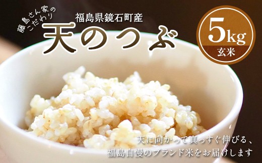 福島県鏡石町産 藤島さん家のこだわり天のつぶ 玄米 5kg 米 こめ コメ ご飯 ごはん お取り寄せ 仕送り 人気 おすすめ F6Q-549