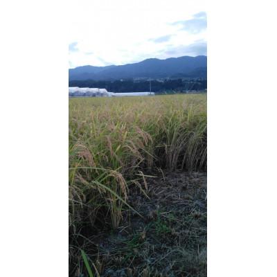 ふるさと納税 豊丘村 《先行予約》令和8年産牧場の「あきたこまち」南信州豊丘村　精米10kg |  | 02