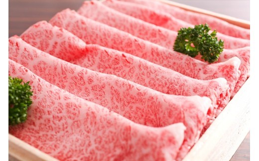 ＜8月から寄附額改定＞飛騨牛 肩ロース すき焼き 500g 牛肉 ロース すきやき スキヤキ 厳選 和牛 国産 牛肉 肉 冬 鍋 ギフト 贈答 冷凍 30000円 飛騨市 すき焼き用
