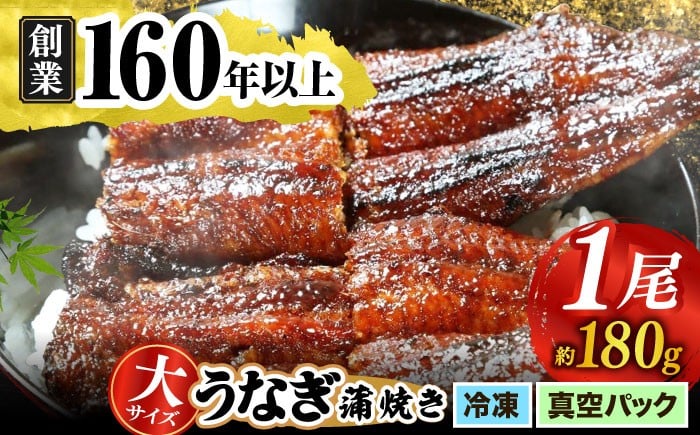 
            【うなぎや】【選べる発送月】 炭火焼 うなぎの蒲焼き 1尾 【紀州備長炭使用】 鰻 うなぎ ウナギ 土用の丑の日 丑の日 蒲焼き 蒲焼 かばやき 選べる うなぎ 冷凍 便利 簡単 調理 ご飯 美味しい 鰻 ウナギ プレゼント ギフト 贈り物 老舗 真空パック 特大 大 特上 送料無料 多治見市 [TFO001]
          