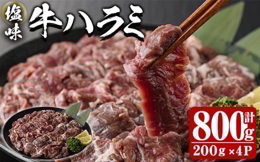  塩味 牛ハラミ (計800g) 小分け 牛肉 肉 ハラミ 牛はらみ 味付け 焼肉 塩 BBQ 冷凍 大分県 佐伯市【DH298】【(株)ネクサ】