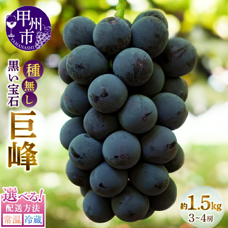 【ふるさと納税】 巨峰 種無し 2026年 先行予約 果物 約1.5kg 選べる配送方法 常温 冷蔵 甲州市産 黒ぶどう 黒い宝石 くだもの フルーツ 葡萄 ぶどう 種なし 旬 山梨県産 ブドウ 数量限定 期間限定 贈答 ギフト 家庭用 8～9月 発送 山梨県 甲州市 （MG）