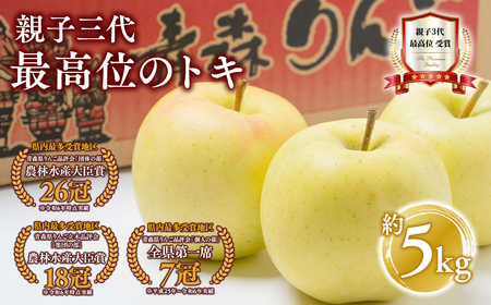 りんご トキ 約5kg 青森県平川市産[hi-0003-019]