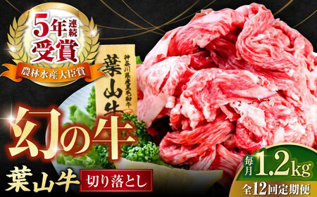 【全12回定期便】葉山牛 切り落とし300g×4パック 小分け 牛肉 切り落とし 横須賀 冷凍  計1.2kg【株式会社羽根】 [AKAG035]