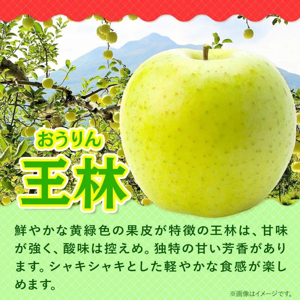 りんご サンふじ・王林 詰め合わせ 贈答用 約5kg【12月発送】りんご