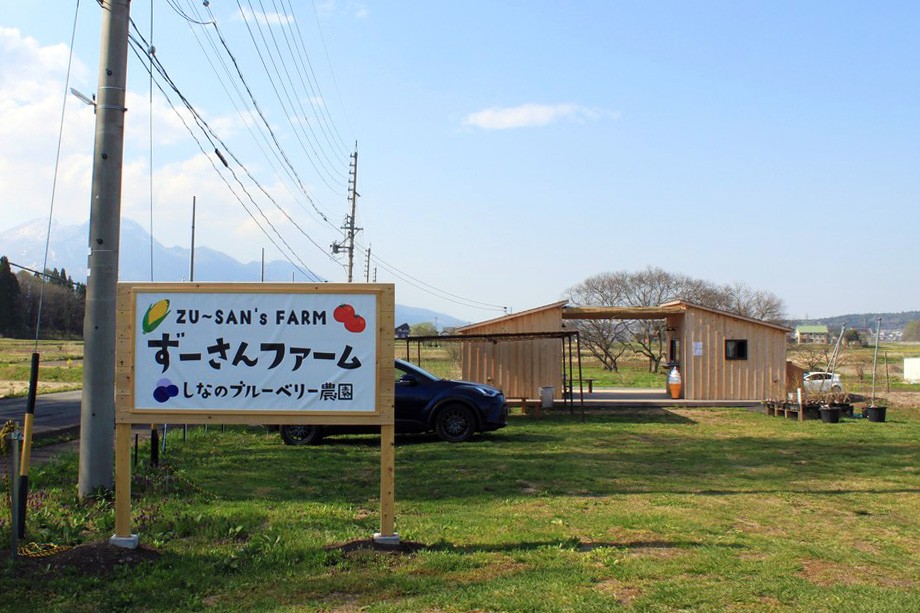 雪どけの清らかな水と火山灰土に恵まれた信濃町の農園で栽培しています。