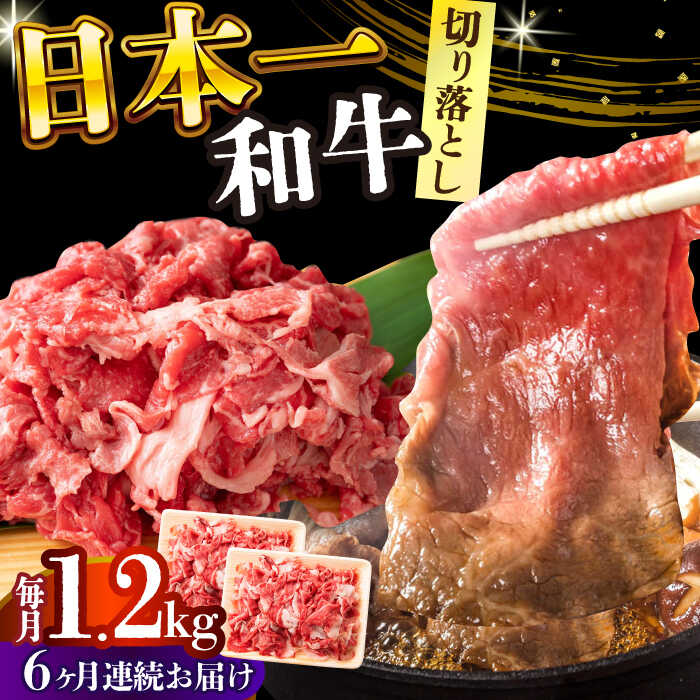 【ふるさと納税】【全6回定期便】【A4〜A5】長崎和牛切り落とし　1.2kg(600g×2p）【株式会社 MEAT PLUS】[DBS059] 牛肉 切り落とし きり落とし 和牛 長崎和牛 国産 国産和牛 贅沢 贈答 贈り物 定期便 和牛定期便