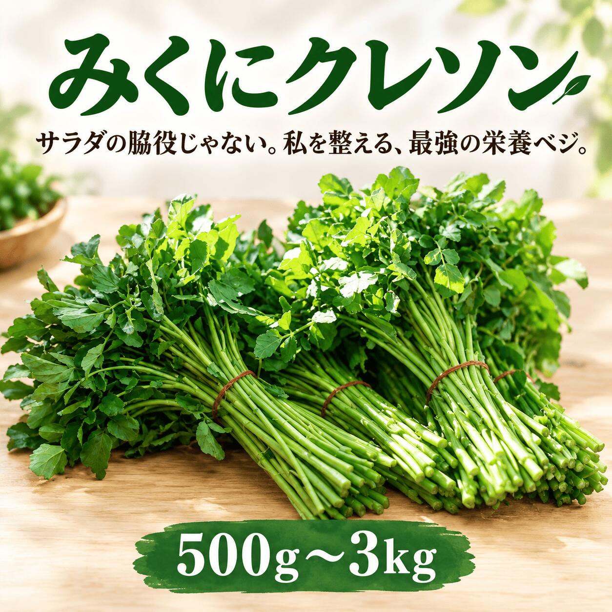 【ふるさと納税】 クレソン 選べる 内容量 5袋 7袋 10袋 15袋 20袋 30袋 × 約100g 野菜 クレソン yasai やさい 野菜 クレソン くれそん サラダ 栄養 旬 レシピ 茨城県産 国産野菜 関東 茨城 筑西 北関東 三国園 みくにクレソン