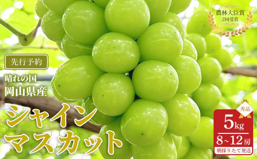 
            ぶどう 2025年 先行予約 シャインマスカット 秀品 約5kg 合計8～12房 農林大臣賞受賞 2025年6月下旬から発送 | フルーツ 果物 くだもの シャインマスカット マスカット 岡山県産 国産 ギフト 贈答用 プレゼント 贈り物 シャインマスカット マスカット フルーツ 果物 くだもの シャインマスカット マスカット
          