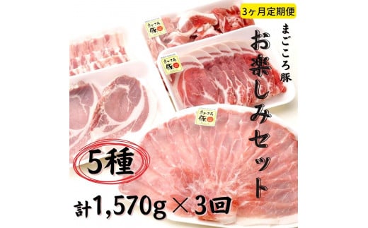 【3ヶ月定期便】まごころ豚 約1.5kgセット(ロース・こま切れ等)×3回 焼き肉 しゃぶしゃぶ バラ 肩ロース