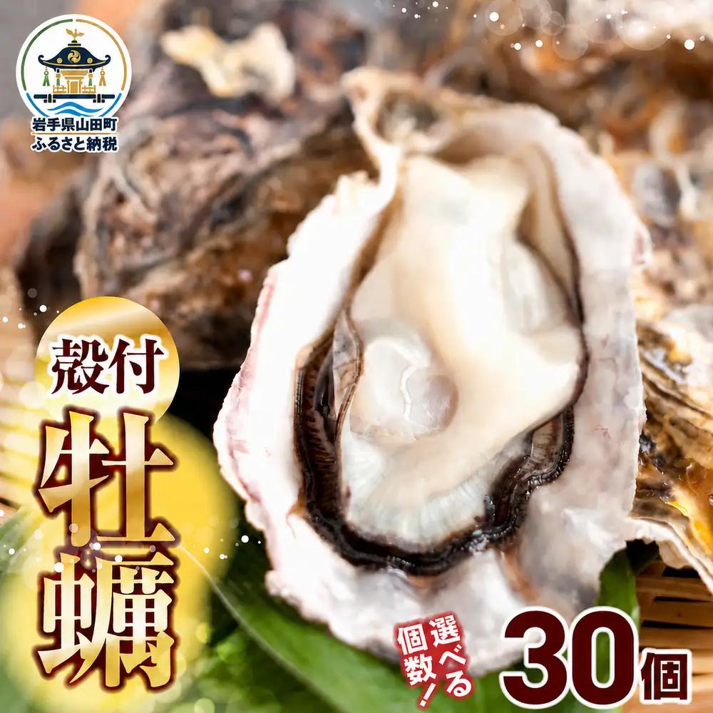 【先行予約 12月以降順次発送】大福丸の殻付き牡蠣 30個 【三陸山田産】【沖縄・離島配送不可】三陸山田 山田町 山田湾 海産品 かき