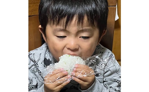山形県産 いのちの壱・つや姫・雪若丸 計1.8kg (各300g×2個 計