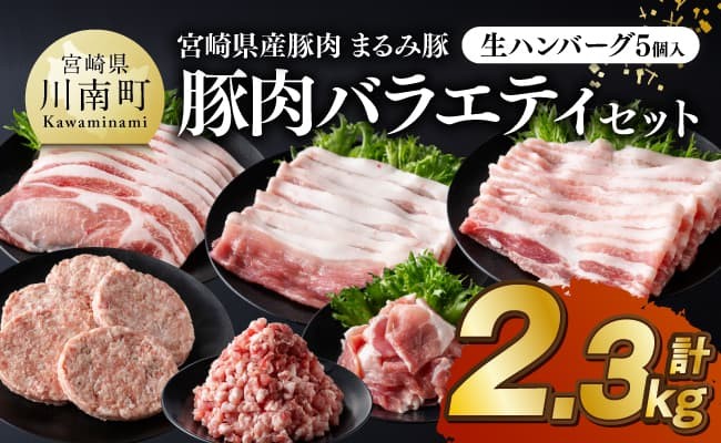 
                  宮崎県産豚肉 「まるみ豚」総重量2.3kg豚肉バラエティセット　生ハンバーグ5個入り 【 肉 豚肉 国産 小分け 弁当 おかず お手軽 真空パック ミンチ 挽肉 九州産 川南町産 送料無料 】
                