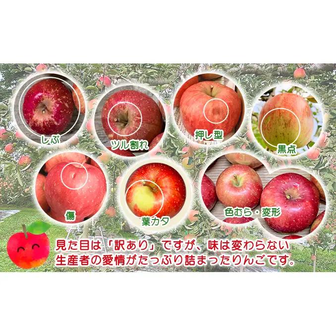 【10月中旬発送】訳あり りんご 糖度14度以上 高糖度 megumi farmの紅玉 家庭用 約5kg（10～25玉入） 果物 フルーツ 産地直送 料理 青森県 鰺ヶ沢町
