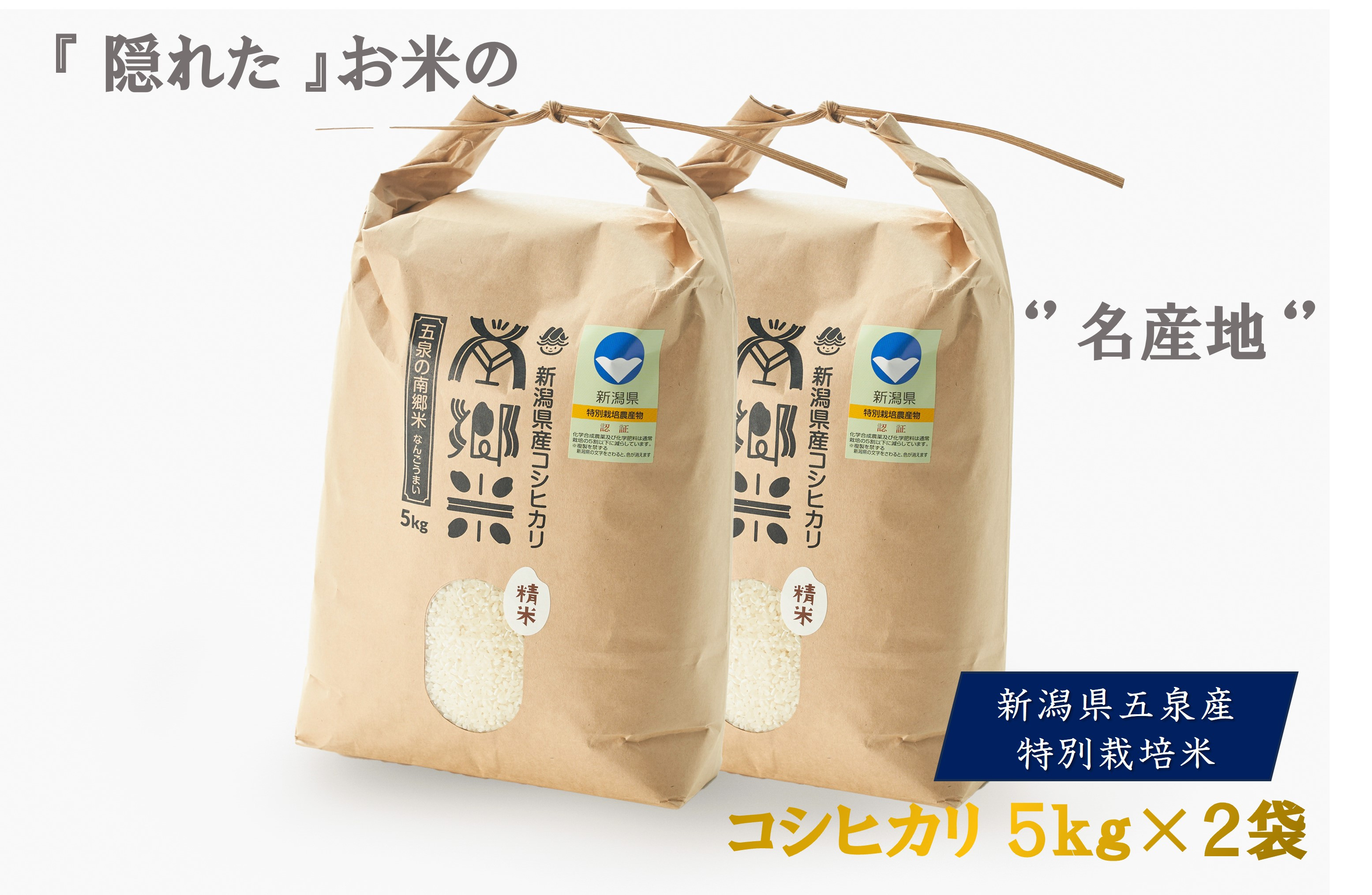 
【先行予約】令和6年産 特別栽培米 新潟県五泉産コシヒカリ 「南郷米」精米 10kg 新潟県 五泉市 ファームみなみの郷
