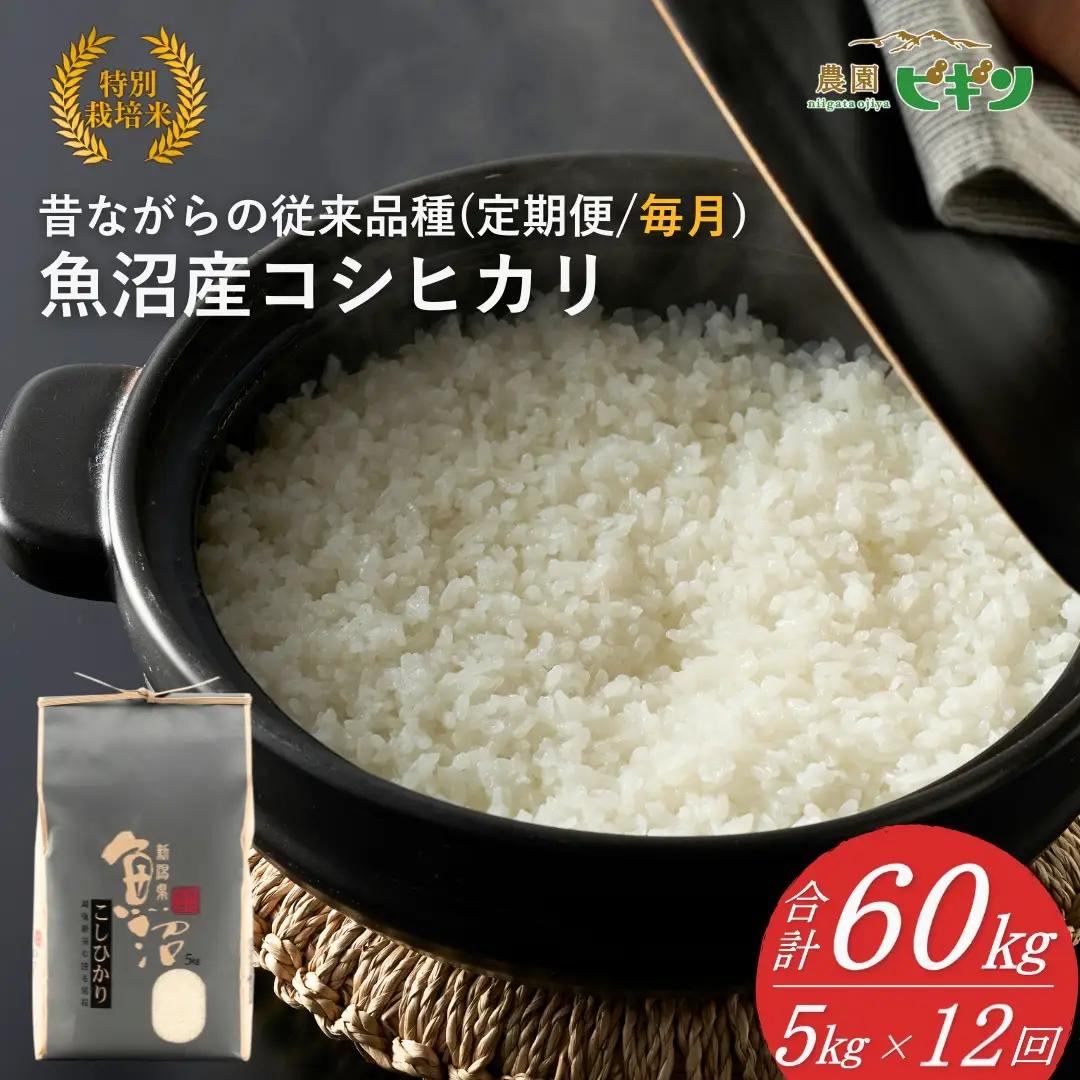 【令和8年産 先行予約】 昔ながらの魚沼産コシヒカリ 従来品種 定期便 60kg（5キロ×毎月全12回）農園ビギン | おこめ 特A評価 小千谷市 コシヒカリ