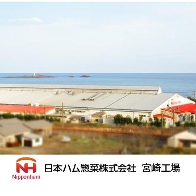 ふるさと納税 日向市 【日本ハム惣菜宮崎工場】チキチキボーン(R)　鶏かわチップス27g×12 |  | 03