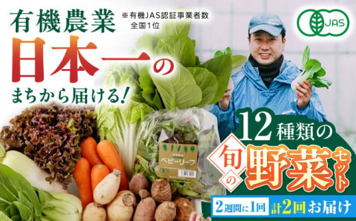 【全2回隔週定期便】有機野菜 オーガニック 12種セット 野菜 有機JAS認定 詰め合わせ オーガニック野菜 熊本県産 山都町産 産地直送 熊本直送 【株式会社 肥後やまと】[YAF013] 