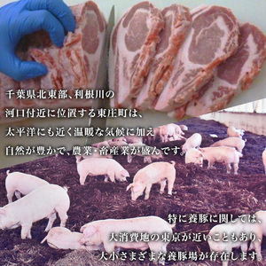 東庄町産SPF豚肉/焼肉&しゃぶしゃぶセット 計2kg