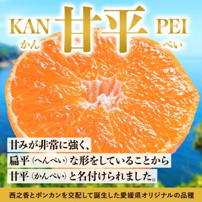 のま果樹園の甘平(約3kg)バラ詰め【1759302】