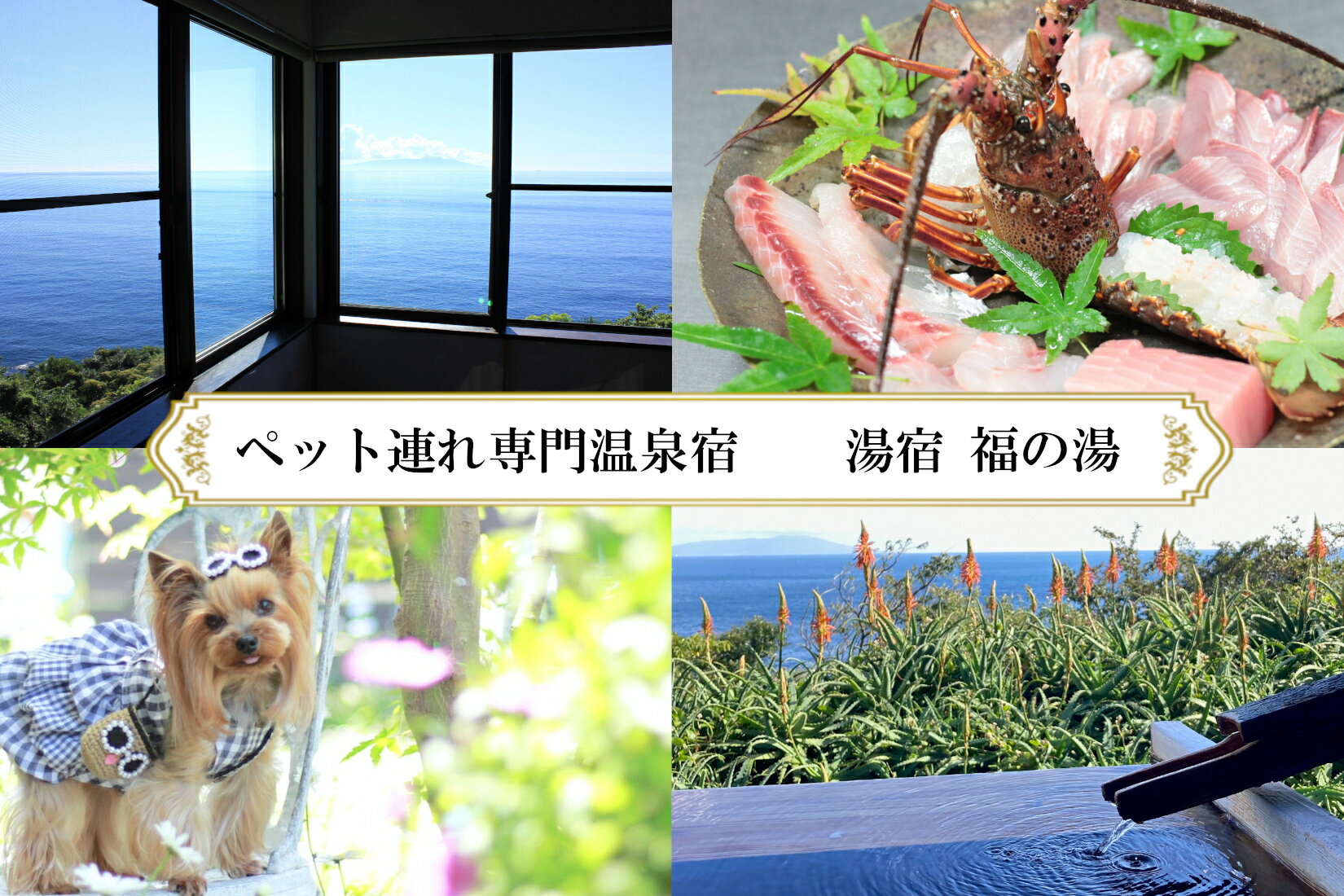 【ふるさと納税】愛犬と泊まる源泉かけ流しの湯宿 湯宿福の湯 休前日限定宿泊券1泊2食付き1室2名様ご利用 1292