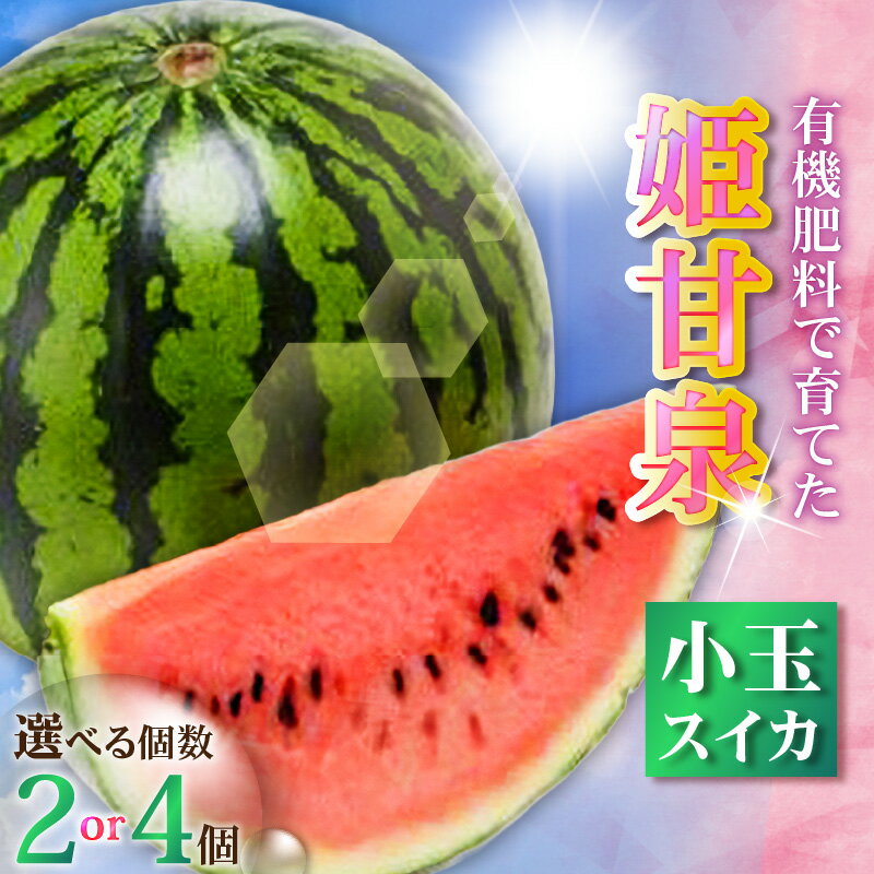 【ふるさと納税】＜選べる＞ 有機肥料で育てた 小玉 スイカ 姫甘泉 2個 or 4個 すいか 西瓜 フルーツ 果物 果実 ジューシー 甘い 夏季 数量 期間 限定 おいしい デザート みずみずしい 国産 旬の果物 贈答 丸徳農産 神奈川 三浦市 おすすめ ランキング プレゼント ギフト