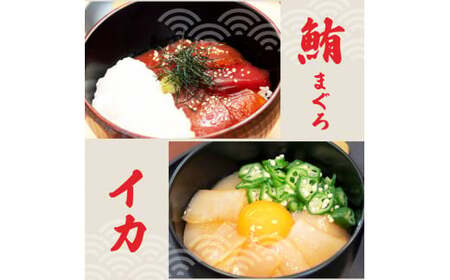 訳あり 海鮮漬け丼 （5種×各4P）セット 1袋約60g 合計1220g 鰤 ブリ まぐろ 醤油 漬け 鯛 刺身 冷凍 マグロ 赤身 かつおたたき 鰹 イカ いか 海鮮丼 海鮮セット 高知県 土佐市