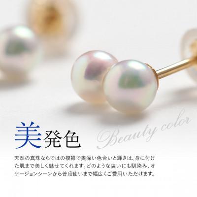 ふるさと納税 長崎市 あこや真珠 4.0-4.5mm 保証書付 ピアス K18 2連パール |  | 01