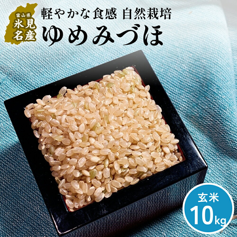 【ふるさと納税】【交響するお米】［玄米］自然栽培 ゆめみづほ 10kg（富山県 氷見市 / 令和7年産） | 移住農家が里山から直送 米 ブランド米