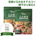 【ふるさと納税】万田酵素 STANDARDペースト （分包）タイプ×2袋 | 酵素 万田酵素 万田発酵 発酵食品 国産 発酵 ペースト 発酵サプリ 植物性 野菜 美容 健康 健康補助食品 まんだこうそ 送料無料 おすすめ 人気 広島県 尾道市