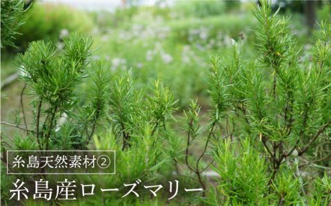 糸島オールインワンジェル いとうるる ≪糸島市≫【フレンチコネクション】 [APC001]