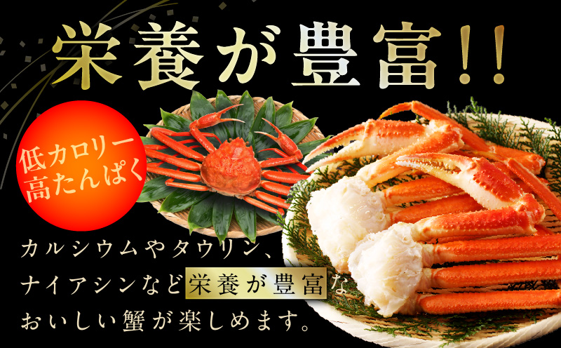 生ずわい蟹 2kg 5Lサイズ 4肩前後 昆布仕立て 030D175