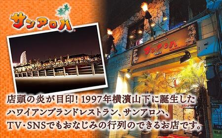 サンアロハ「ハマカレーR　ビーフ　230g×4個パック」 AJE0002