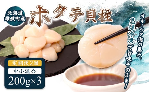
            【定期便2回】　北海道雄武町産ほたて貝柱 中小混合 200g×3 (冷凍) 使い切りパック　| ふるさと納税 北海道 雄武 ホタテ 帆立 ほたて 小粒 中粒 大粒 200g×3 1.2kg 冷凍 オホーツク オホーツク産 刺身 魚貝 魚介 海鮮 海産 海産物 魚介類 お取り寄せ ワンストップ マイページ 雄武漁業協同組合【07136】
          