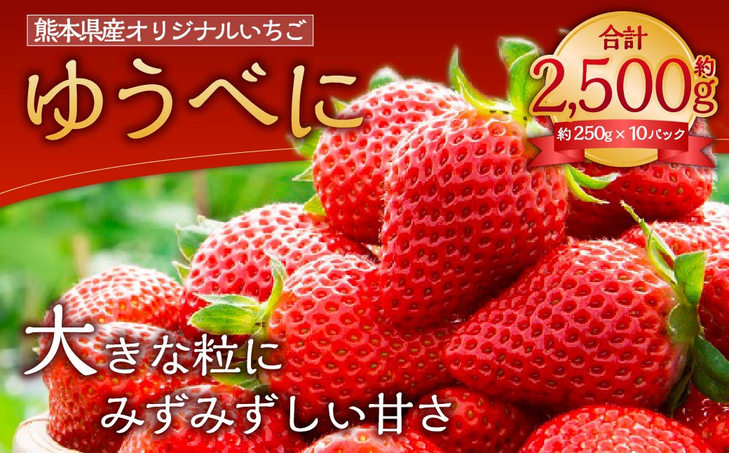 
ゆうべに ( いちご ) 250g × 10パック 合計 2.5kg 【2025年2月上旬発送開始】
