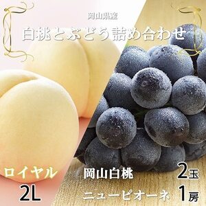 【先行受付】岡山県産　岡山白桃ロイヤル2Lサイズ250g×2玉・ニューピオーネ500g×1房　詰合せ【配送不可地域：離島・北海道・沖縄県】【1309117】