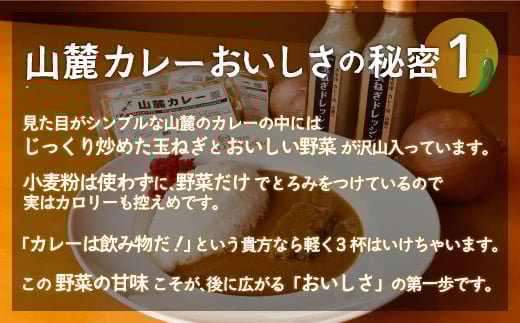 また食べたくなるカレー！＜木更津山麓カレー＞十両・前頭・小結・特製玉ねぎドレッシングセット ふるさと納税 カレー 健康 からだにやさしい 辛さ 重量 大辛 小結 レトルト セット 玉ねぎ ドレッシング