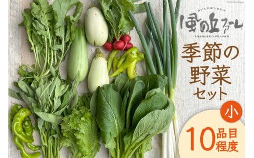 野菜セット 10種 詰め合わせ [風の丘ファーム 埼玉県 小川町 205] 野菜 やさい