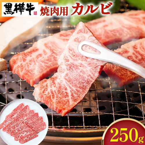 【ふるさと納税】熊本県産黒毛和牛　黒樺牛焼肉用カルビ　250g 肉好き必見 黒毛和牛 黒樺牛 肉 牛肉 250g×1 焼肉 カルビ 国産 専門店 熊本県 取り寄せ 贈答 ギフト お中元 お歳暮 熊本 阿蘇 産山村 送料無料《60日以内に出荷予定(土日祝除く)》