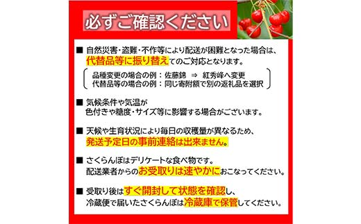 【令和8年産】 さくらんぼ 「やまがた紅王」 約500g (特秀 2L
