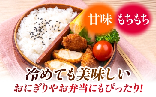 〈令和8年度産米〉【6回定期便】熊本県産 くまさんの輝き 白米 20kg (5kg×4) 米 お米 ご飯 こめ【有限会社 あそしな米穀】 [ZBI052]