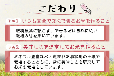 【順次発送中】【新米】ほたるいか米（新米/玄米１０kg）※9月以降順次発送