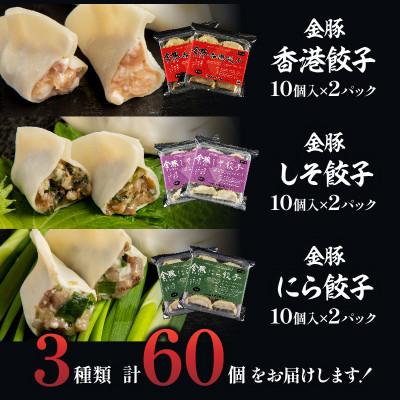 ふるさと納税 宮崎市 金豚餃子セット(香港餃子・しそ餃子・にら餃子)1パック10個入×各2パック　計60個 |  | 01