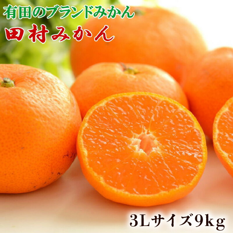 【ふるさと納税】【限定】数量限定 田村みかん 約 9kg 3Lサイズ 大玉 等級 混合 国産 ブランドみかん 大玉みかん みかん 柑橘 果物 果実 濃厚 フルーツ デザート 食品 食べ物 お取り寄せ お取り寄せフルーツ 和歌山県 湯浅町 送料無料