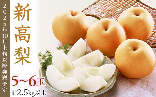 
            74-21 新高梨 5～6玉（2.5kg以上）【2025年10月上旬～下旬発送予定】
          
