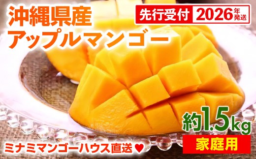 
                  【先行受付】【2026年発送】ミナミマンゴーハウスのアップルマンゴー 家庭用 約1.5kg- 先行予約 沖縄県産 産地直送 南国フルーツ 旬の味覚 ご自宅用 オススメ 沖縄県 八重瀬町
                