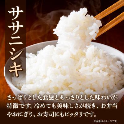 ふるさと納税 秋田市 令和7年産 秋田県秋田市産 ササニシキ 精米 5kg|15_kjd-020501 |  | 03