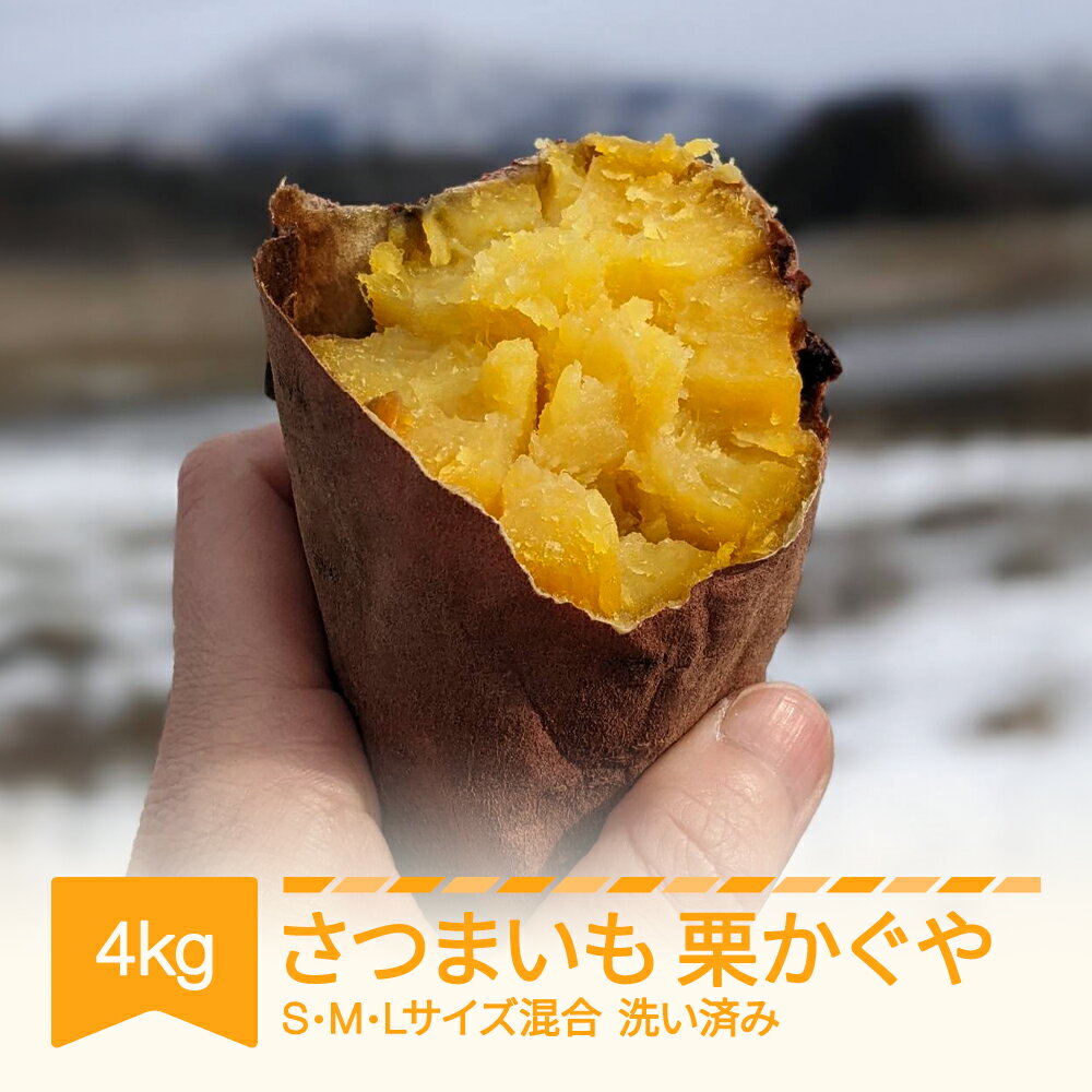 【ふるさと納税】さつまいも 栗かぐや 洗い済み 約4kg 村山市産 2025年産 令和7年 山形県産 no-spkkx4 送料無料※沖縄・離島への配送不可