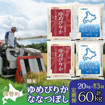 ふるさと納税 壮瞥町 【令和7年産】【隔月3回】(精米20kg)食べ比べセット(ゆめぴりか、ななつぼし) SBTD136